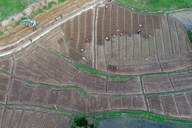 湖南桂东 乡村 春播 村民 画