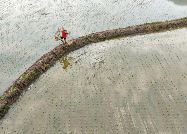 春耕
春管
春种
道县