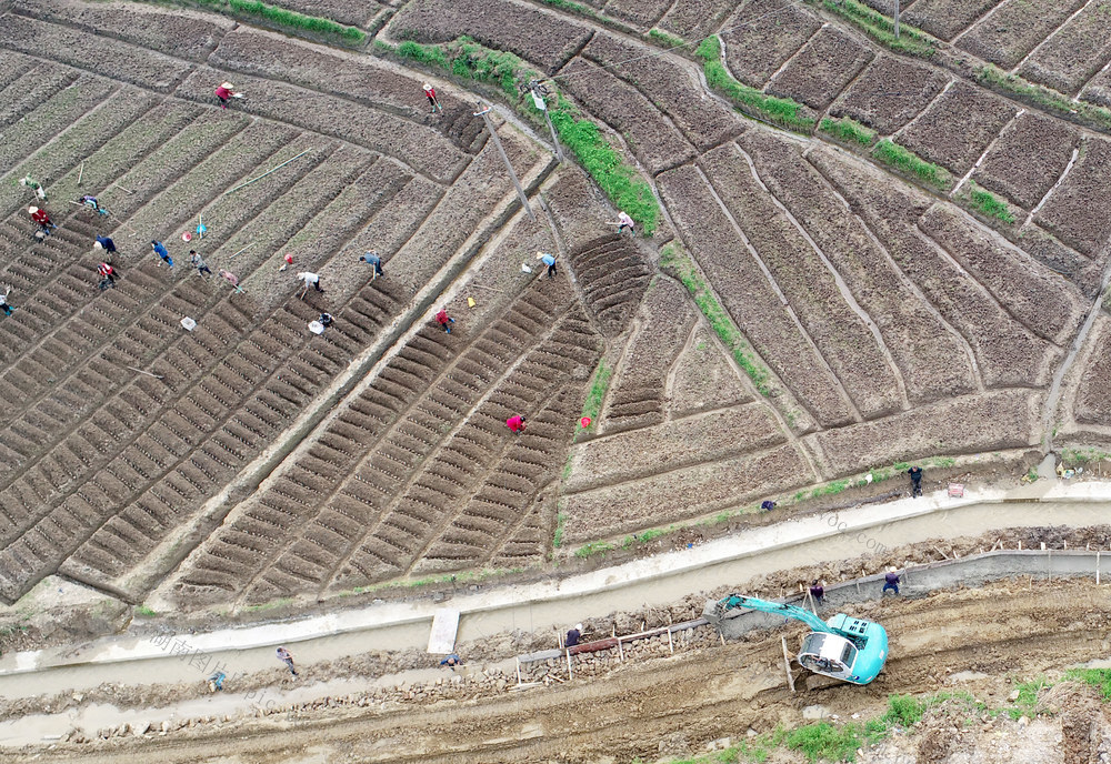 湖南桂东 乡村 春播 村民 画