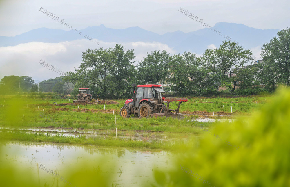 早稻
春耕
粮食生产
道县