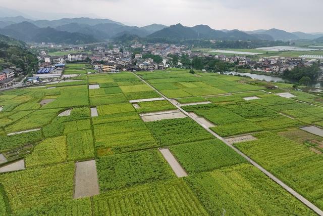 环境、生态、春天、绿水青山、田园、民居、乡村、春耕