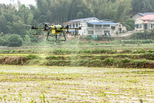 谷雨将至  农事正忙