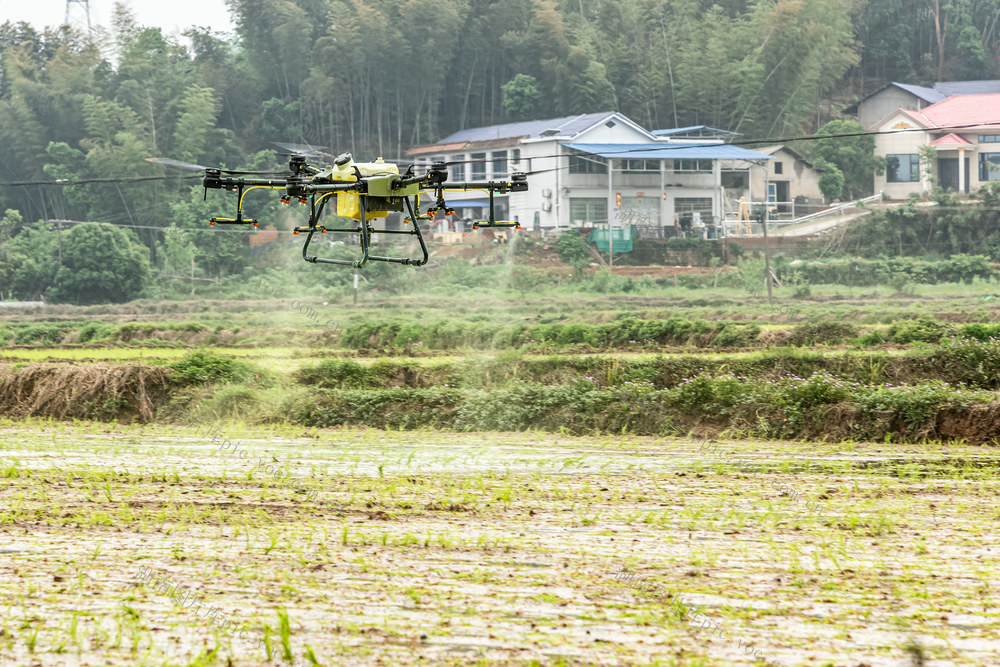谷雨将至  农事正忙