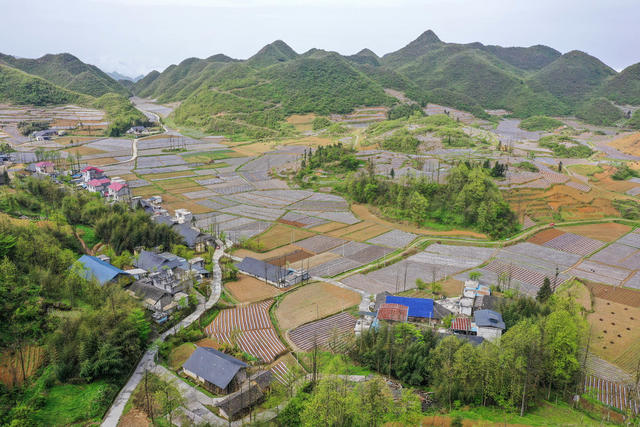 湖南，湘西，产业，乡村，地膜，美丽