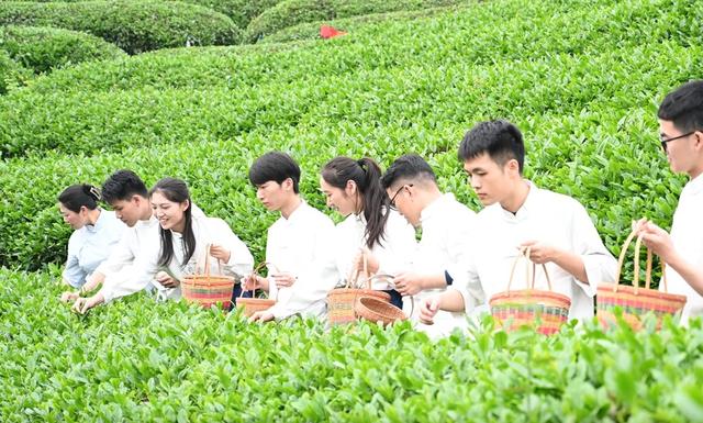 湖南城市学院 种植与采摘
