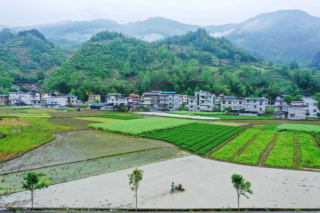 湖南 湘西 龙山 耕作 云雾 青山 村庄 田园 耕耘 画