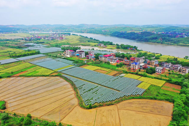 耒阳：乡村美如画