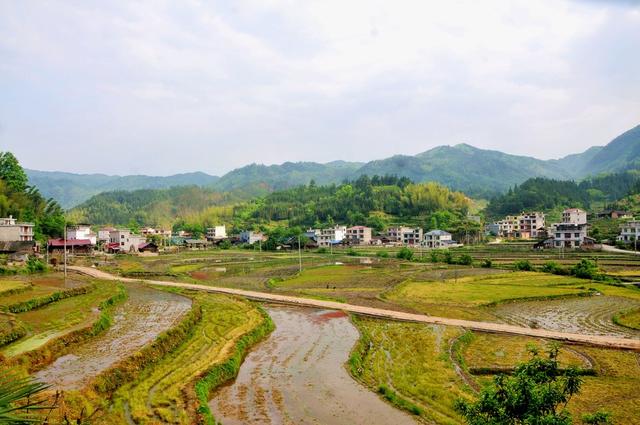 劳作  水田 新宁 村民 翻田