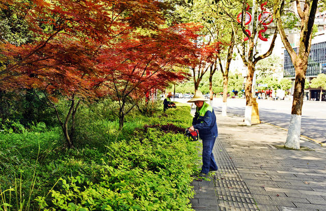 环境 绿化 护绿 园丁 