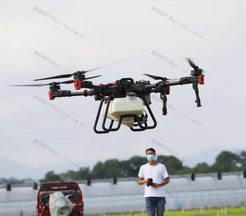 无人植保机 作业