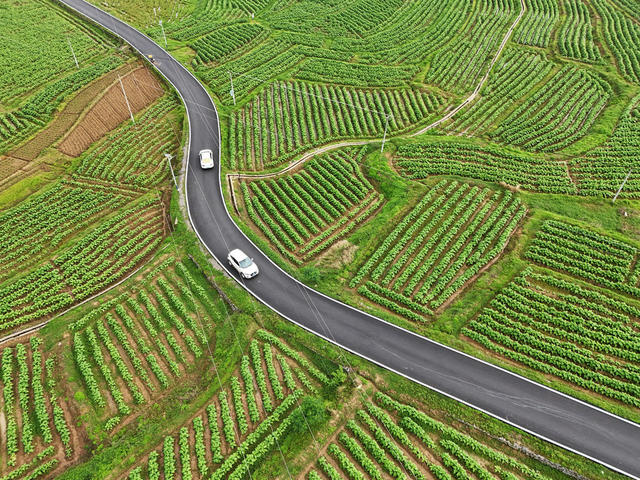 公路  村道  车辆  行驶  田野  乡村  振兴