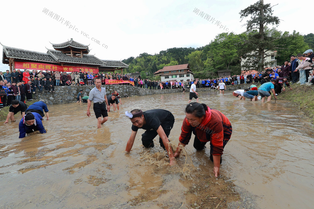 五一 非遗 文化 侗寨 村民 游客 传承 匠心

