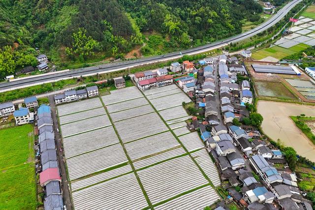 乡村、人居环境、农村、和美乡村、田园