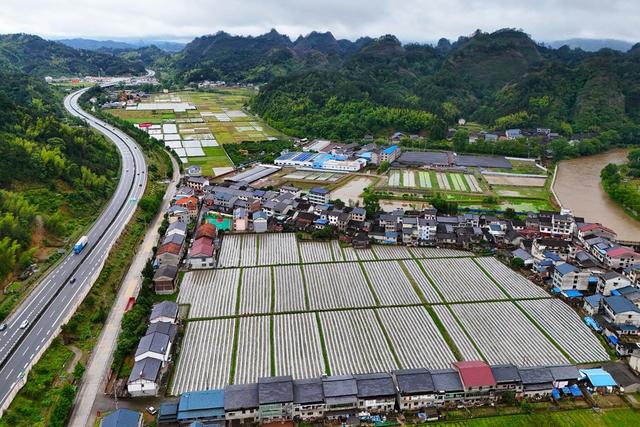 乡村、人居环境、农村、和美乡村、田园