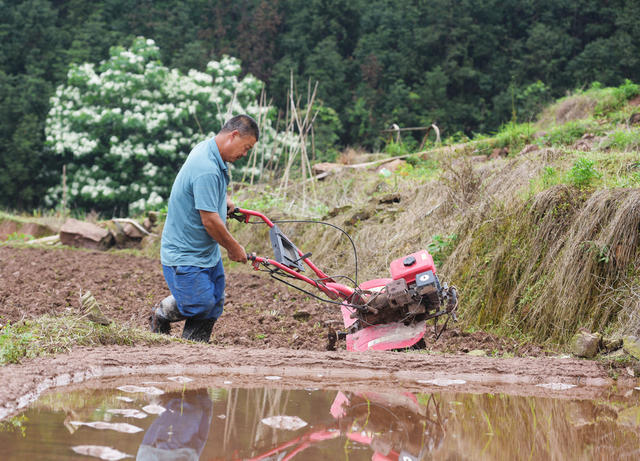嘉禾：立夏农忙