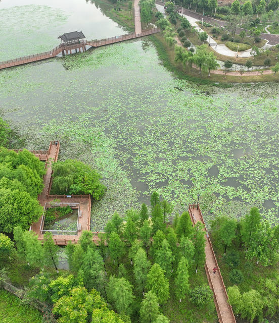 生态公园、
道县