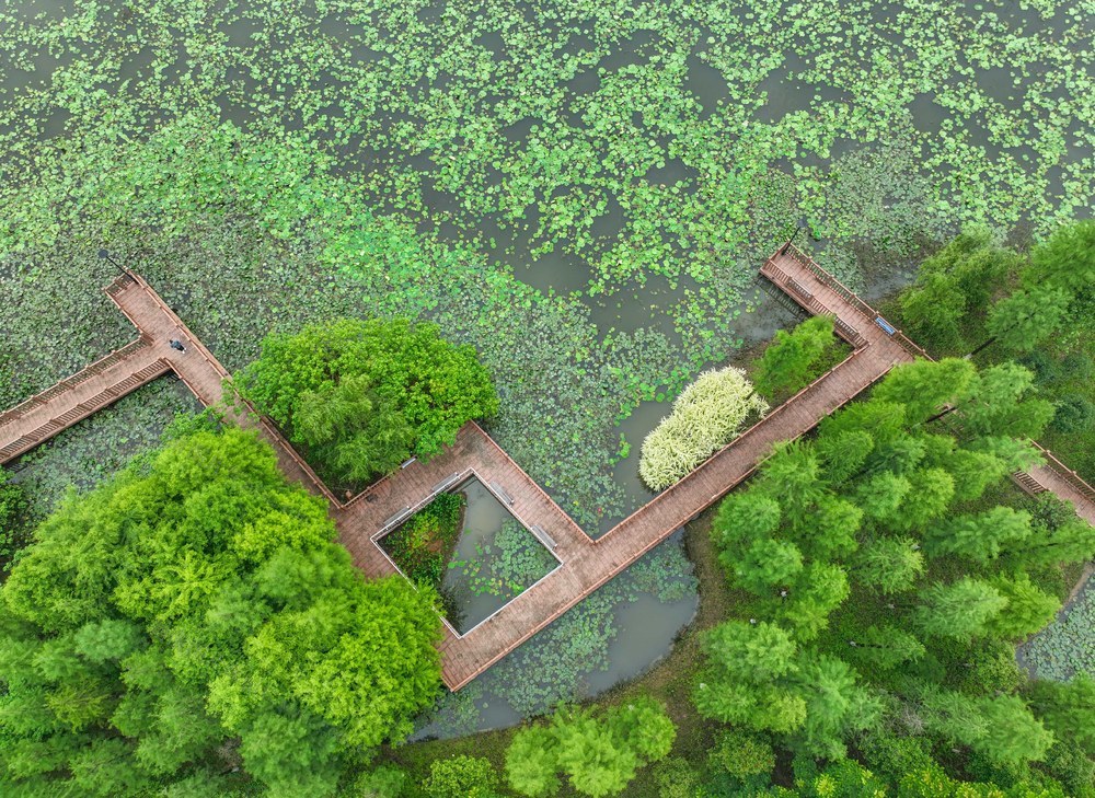 生态公园、
道县