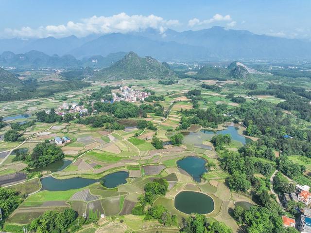 道县
生态
田园