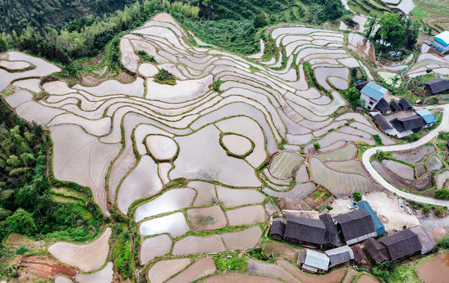 塘家梯田  蓄水备耕  粮食生产  