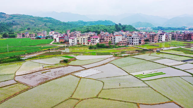 和美乡村  田园  画卷