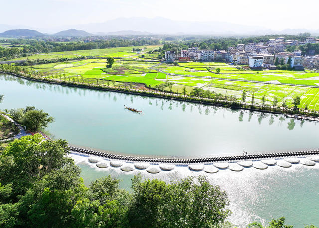 生态 河道