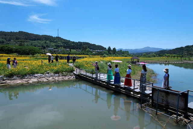湖南郴州 杭溪湿地公园 画 