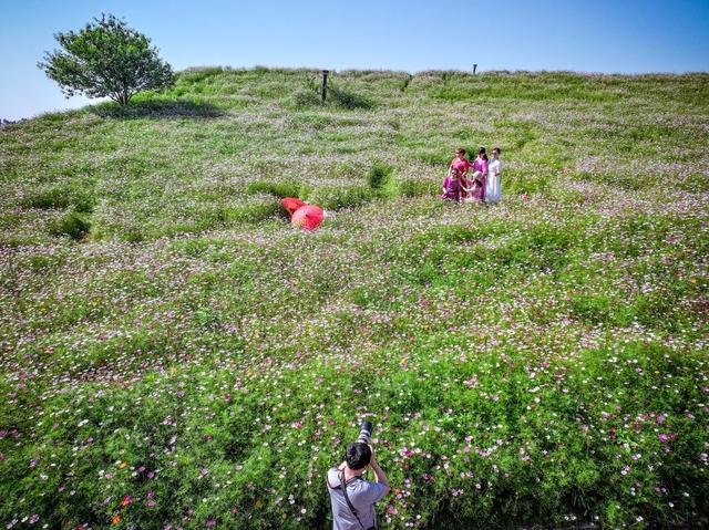鲜花 打卡 游玩 美景