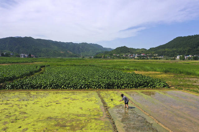 初夏 农事 无人机  飞防作业 农机 翻耕