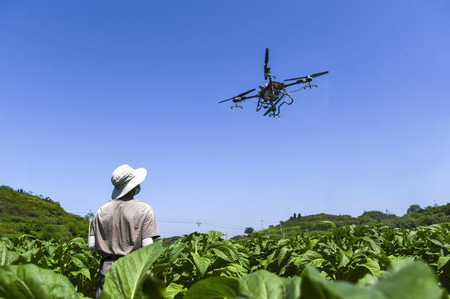 初夏 农事 无人机  飞防作业 农机 翻耕