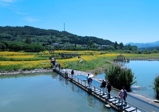 湖南郴州 杭溪湿地公园 画 