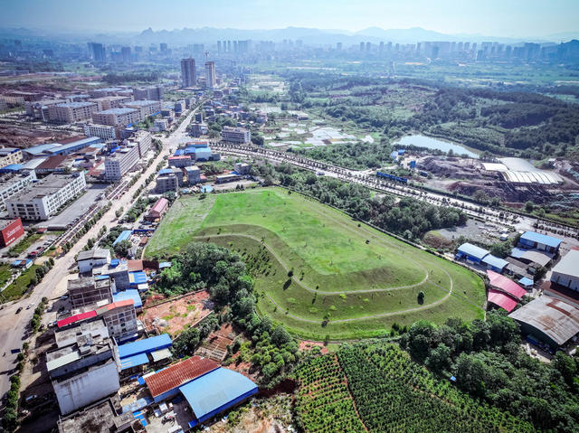 鲜花 打卡 游玩 美景