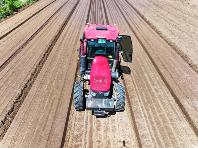 农业  湖区  土地流转  棉油轮作 
 机械化生产  棉花播种  播种机 