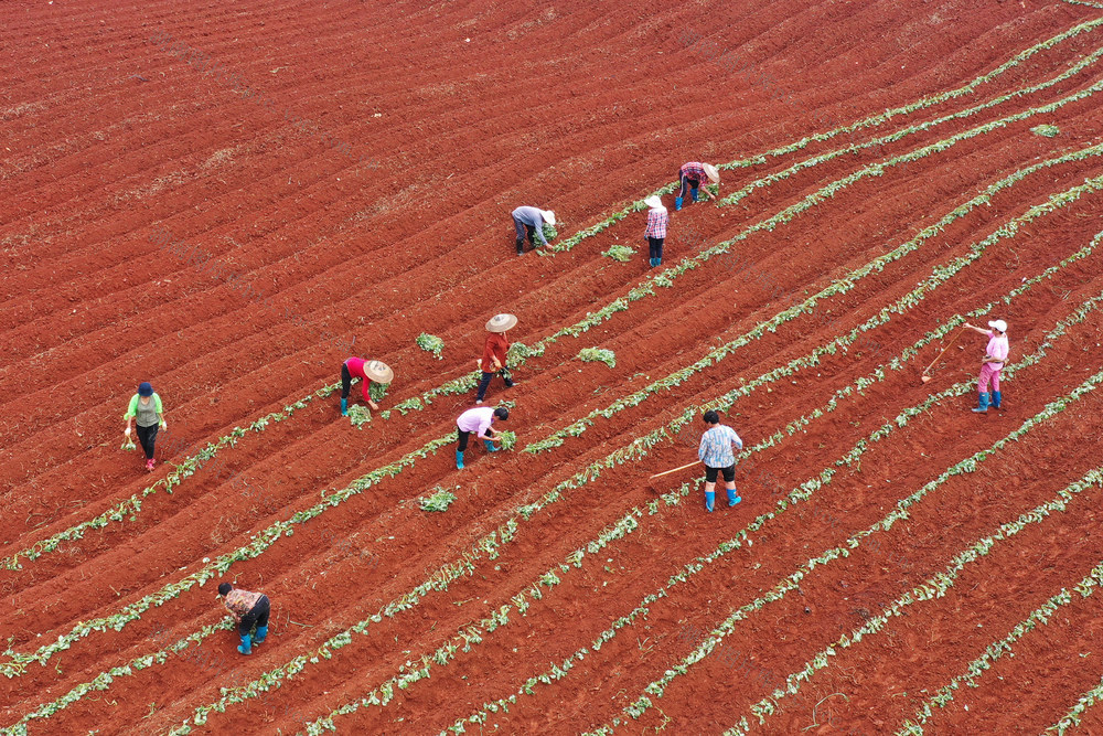 宁远：产业经济促发展