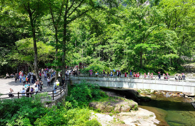 夏日 张家界 旅游 升温