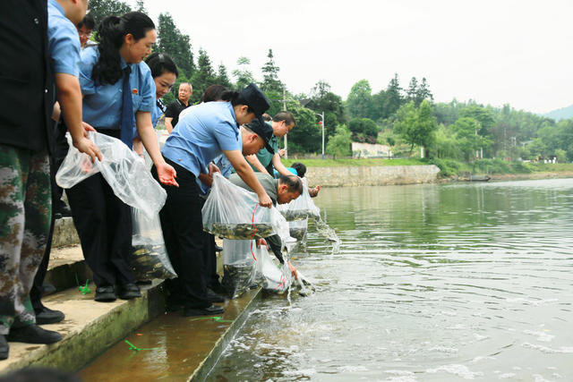 巡回法庭 以补代罚 修复生态

