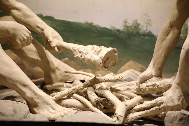 世界博物馆日 历史文化