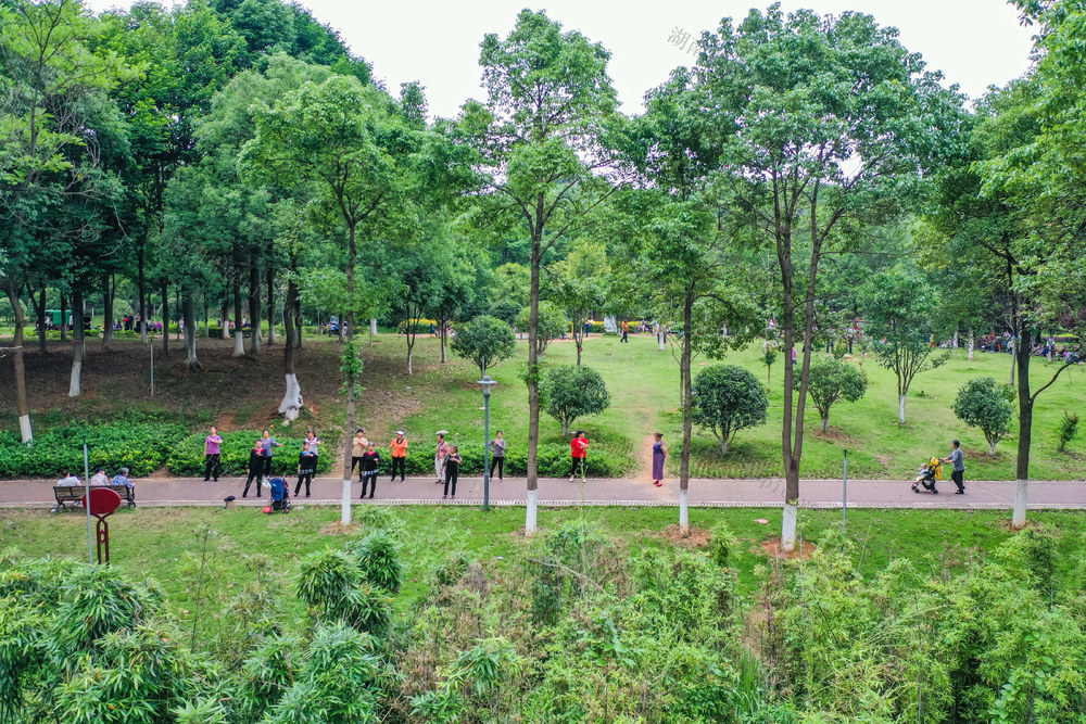 生态 绿地 植物园 绿化 休闲 公园