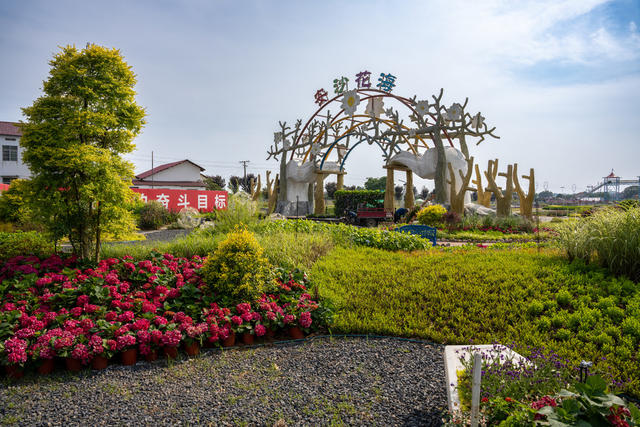 农业 湖南 长沙 花卉 产业园 乡村振兴 