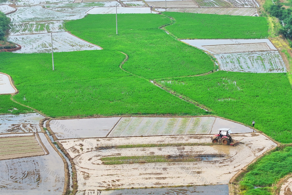 农事 农忙 初夏 