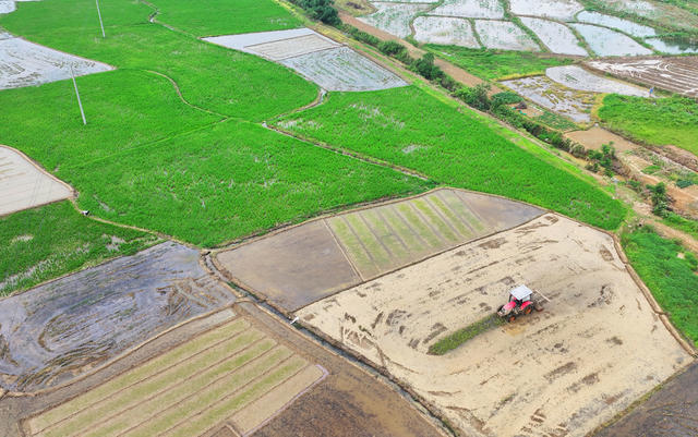 农事 农忙 初夏 