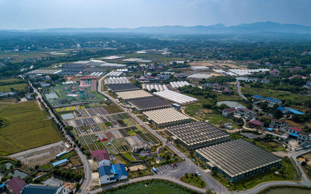农业 湖南 长沙 花卉 产业园 乡村振兴 