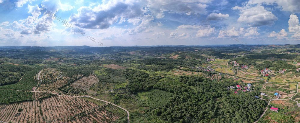 邵阳县蔡桥乡福林村 复绿
