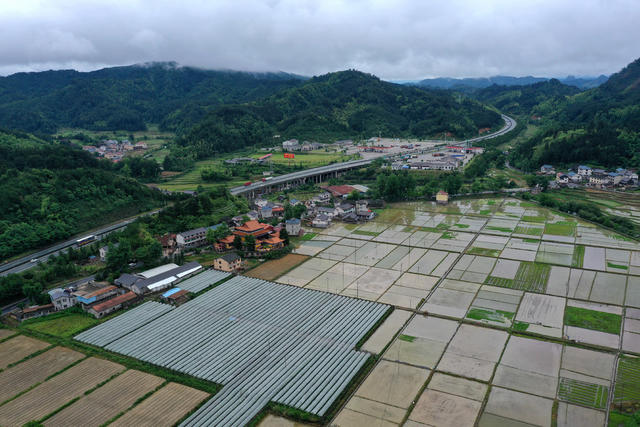 农户  抢插 秧苗 雨后 志愿者 帮扶 丰收 基础
