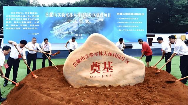 邵阳县 油茶基地