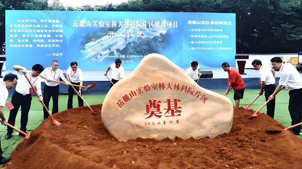 邵阳县 油茶基地