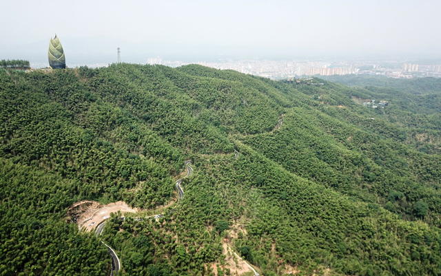 竹海囗景区囗美