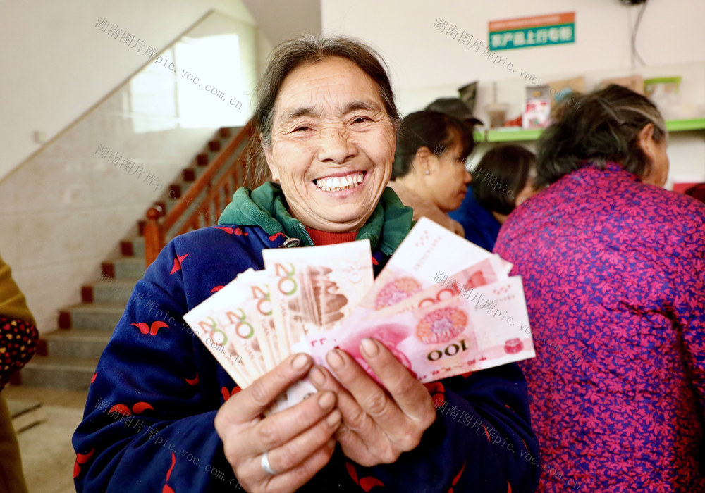 土地流转金 邵阳县下花桥镇黄土坝村 收入 田土发展产业