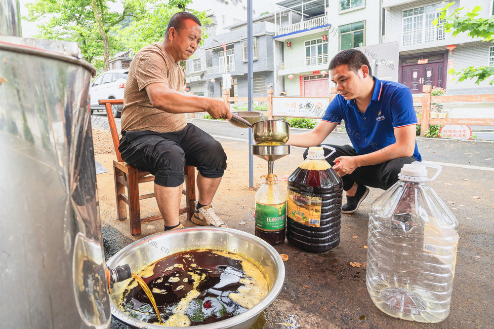寨阳老油坊  油菜收割榨油旺季  榨油量达到800公斤   油坊有效益村民得便利