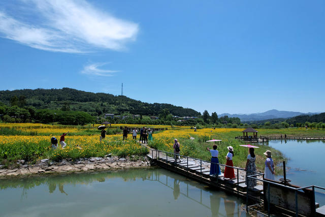 东江湖 畔 湿地 美