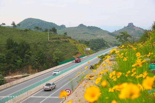 美丽公路  行驶  交通  